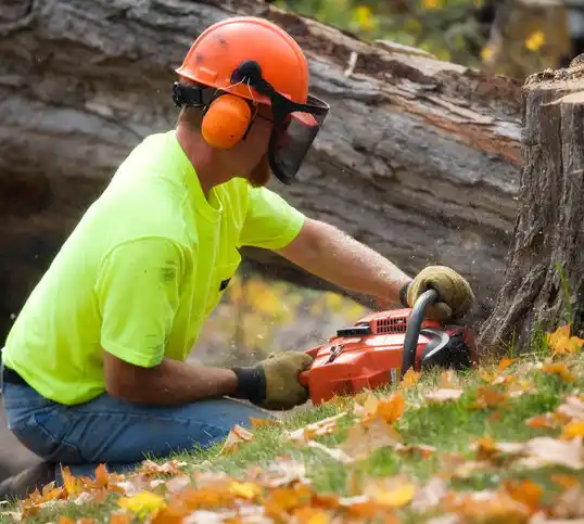 tree services Mebane